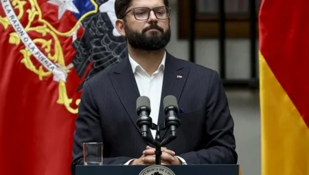 Şili Devlet Başkanı Boric ile Almanya Cumhurbaşkanı Steinmeier Ortak Basın Toplantısı Düzenledi