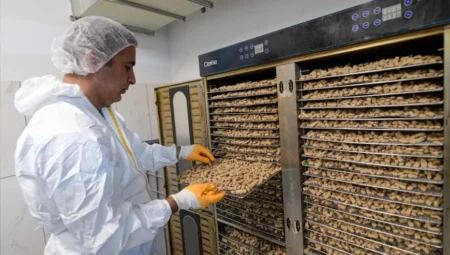 İzmir Büyükşehir Belediyesi barınaklardaki köpekler için mama üretimini sürdürüyor