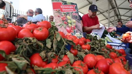 Sivas’ta Doğal Ürünler ve Köy Pazarı Açıldı, Her Cumartesi Kurulacak