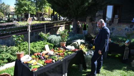 Pursaklar Belediyesi Ata Bahçesi’nde yerli tohum hasadı yapıldı, doğal ürünler vatandaşla buluşacak